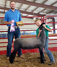Doty Club Lambs For Sale